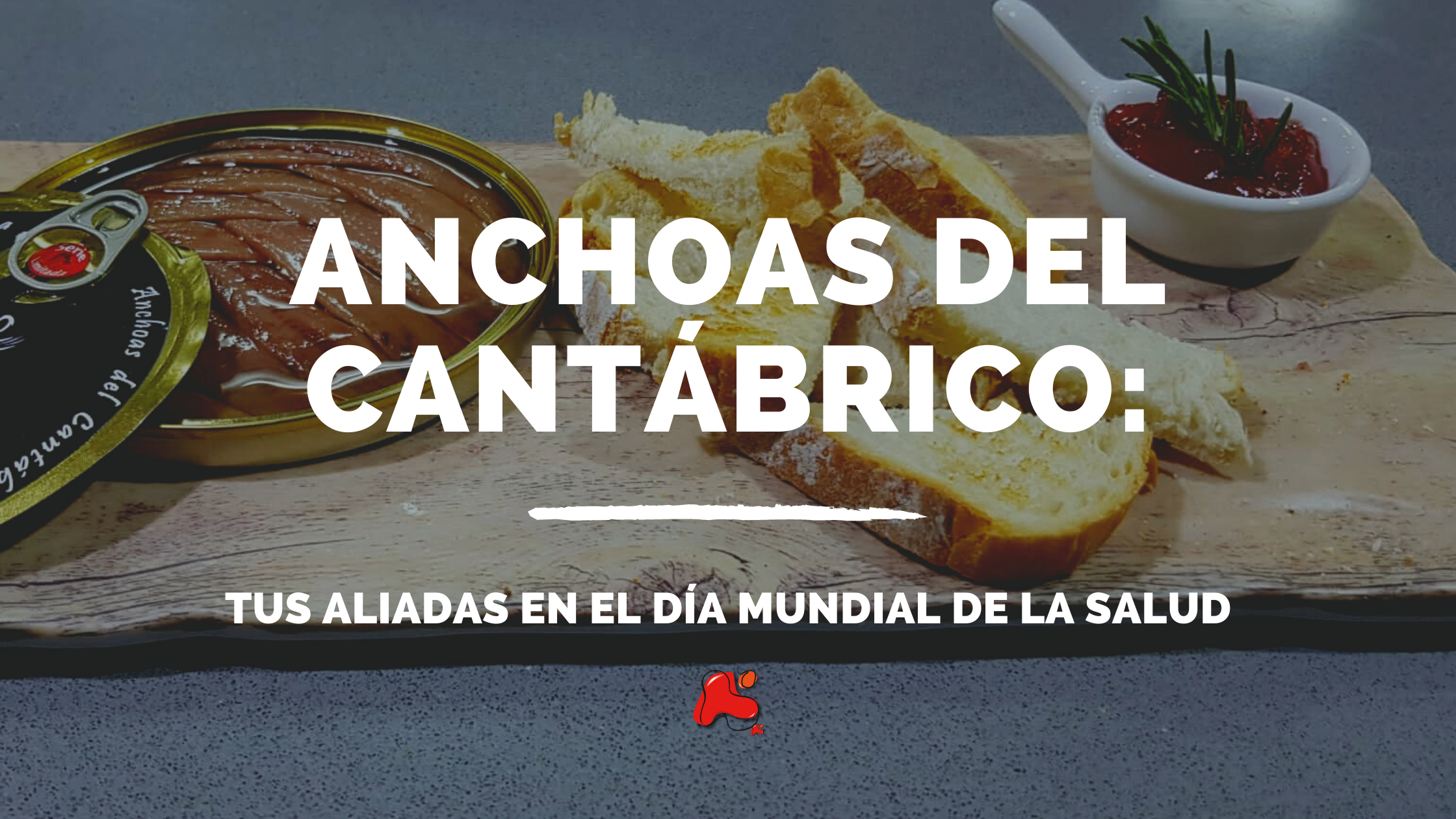 anchoas del cantábrico